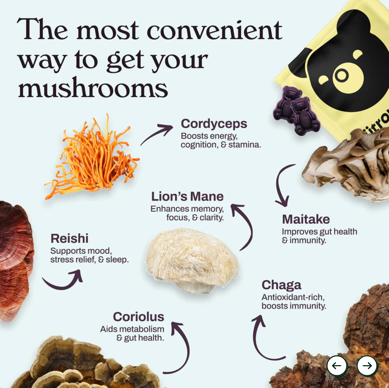 Creatine & Mushroom Nootropic Gummies